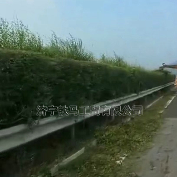 高速公路車(chē)載式綠籬機(jī)